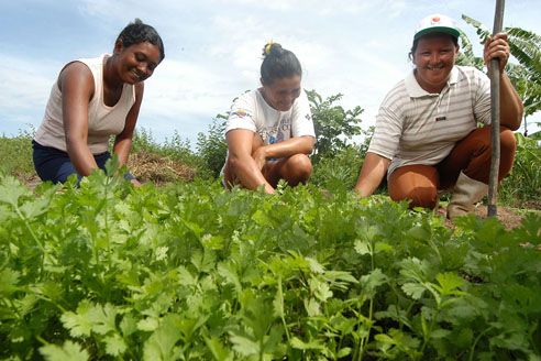 MDA promove Seminrio de Cooperativismo Solidrio da agricultura familiar