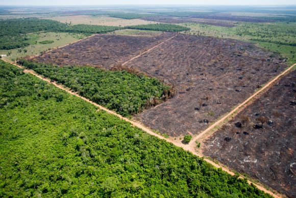 Mato Grosso pode perder at 4% do PIB se Novo Cdigo Florestal for derrubado no STF