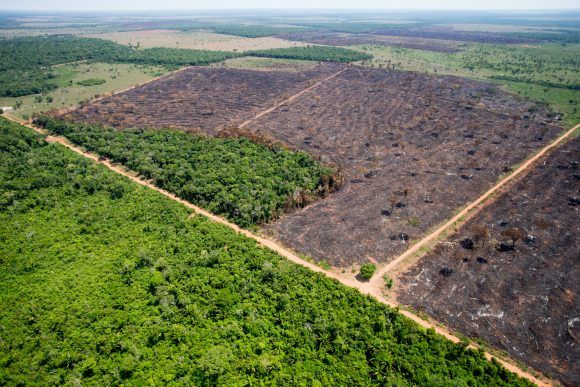 Mato Grosso pode perder at 4% do PIB se Novo Cdigo Florestal for derrubado no STF