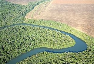 Mato Grosso  um dos destaques do Seminrio de Desenvolvimento Sustentvel