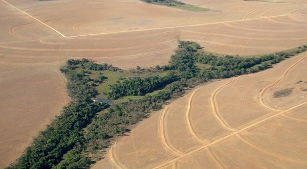 O CAR  o 'raio-x' ambiental da propriedade rural e deve ser feito at 2016