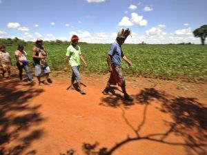 Comunidade guarani-kaiow aguarda deciso sobre rea em Rio Brilhante