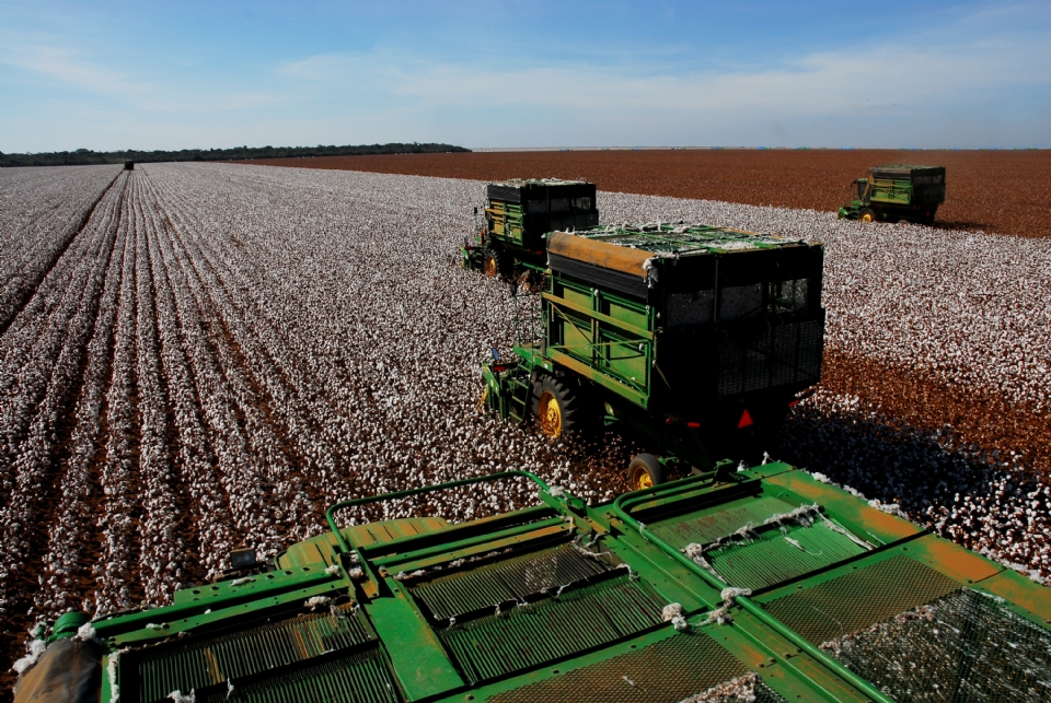 MT concentra 26 dos 50 municpios do pas com os maiores valores de produo agrcola