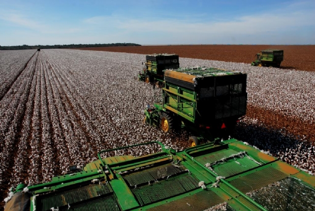 PIB de Mato Grosso cresce 4,5% no segundo trimestre de 2019 e ultrapassa mdia nacional