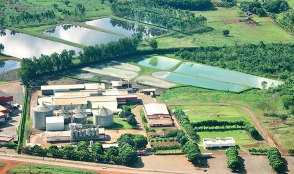 Planta da Anhambi em Tangará da Serra passará a ser administrada pela Seara, do Grupo JBS