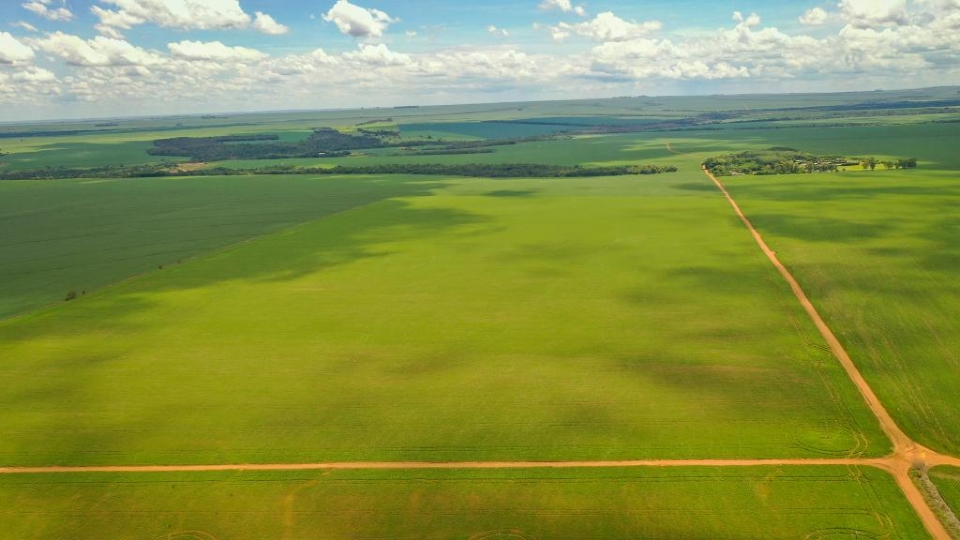 Governo de MT arrecadou mais de 140 mil hectares para regularizao fundiria