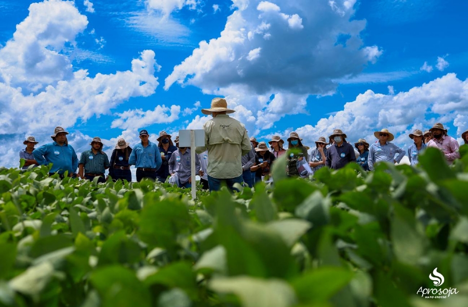 Iagro investir R$ 50 milhes em pesquisas que beneficiam produtor rural