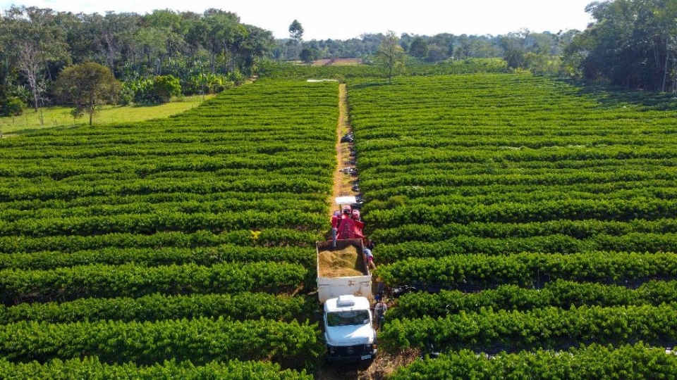 Governo de MT lana linha de crdito de at R$ 1,5 milho para produtores familiares
