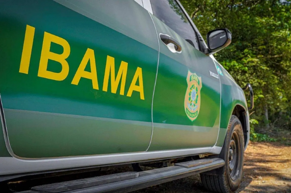 ​Ibama identifica R$ 25 milhes em crdito rural irregular e mira Banco do Brasil; autos de infrao emitidos em MT