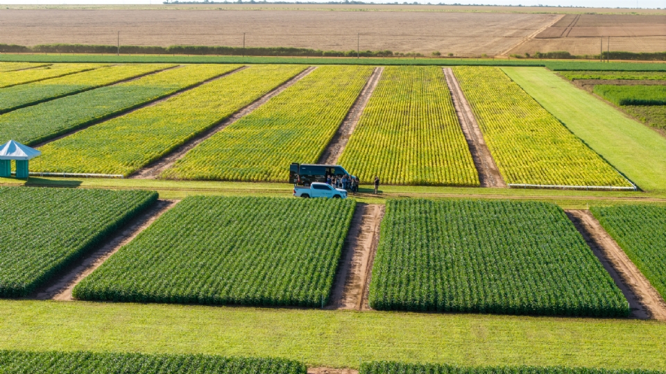 Centro de pesquisa da Aprosoja completa 10 anos e acumula estat�sticas sobre comportamento da soja no solo de MT