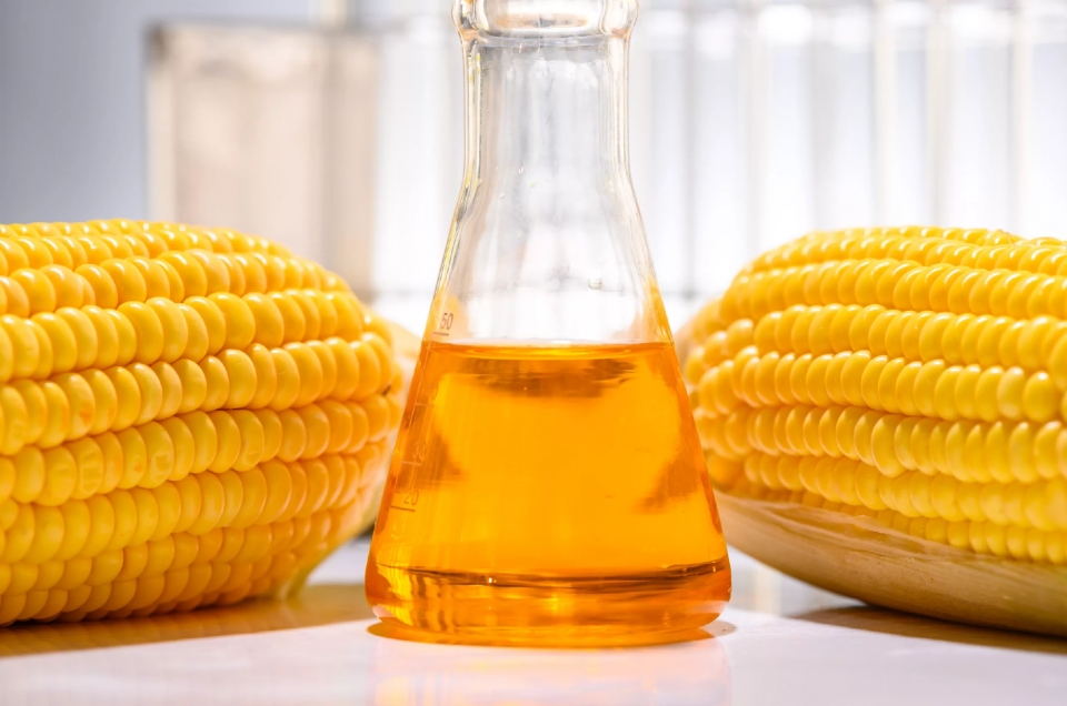 BNDES empresta R$ 1 bilh�o para constru��o de usina de etanol de milho em MT; 1.100 empregos previstos para implanta��o