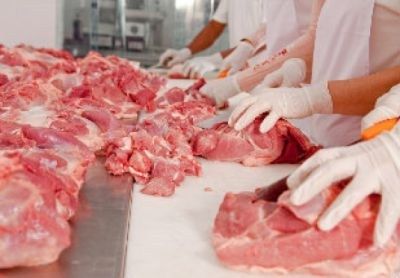 Falta de transparncia prejudica cadeias produtivas de carne em Mato Grosso