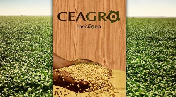 Faturamento da Ceagro ficou em torno de US$ 450 milhes na safra 2012