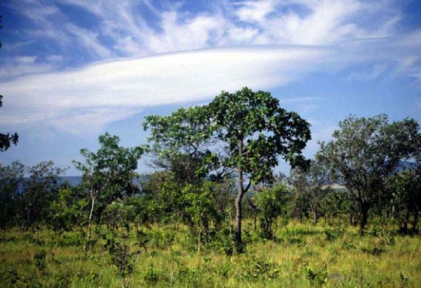 Senado aprova projeto de Desenvolvimento Sustentvel para regies do Cerrado