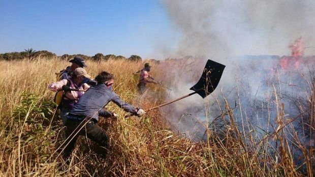 Estado e municpios identificam 57 ocorrncias de incndios em nove dias de perodo proibitivo