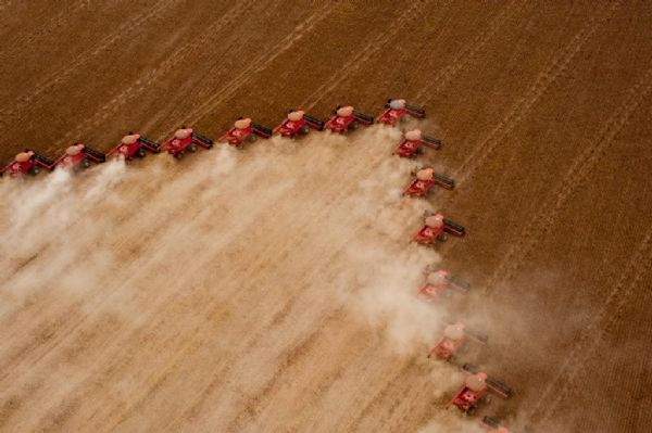 Preos das commodities elevam renda no campo em Mato Grosso