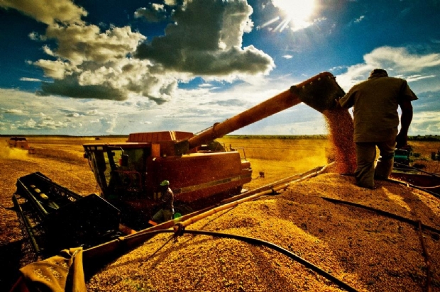 Produção de soja em Mato Grosso deve fechar em 32 mi toneladas na safra 2018/2019