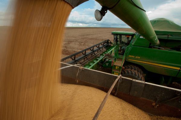 Colheita de soja termina no dia 20 de maio em Mato Grosso
