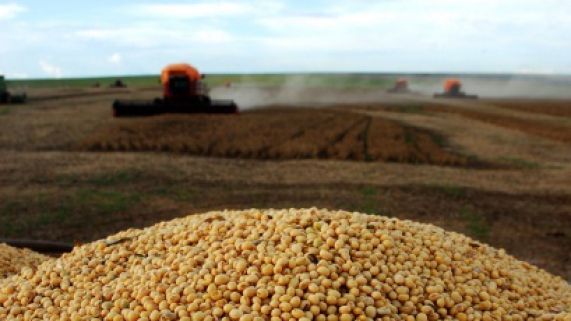 PIB da soja cresceu 32% no perodo, segundo a pesquisa da CNA/Cepea