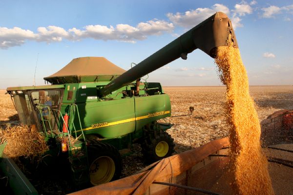 Surgimento de problemas e atrasos na safra americana podem ser salvao para preos do milho