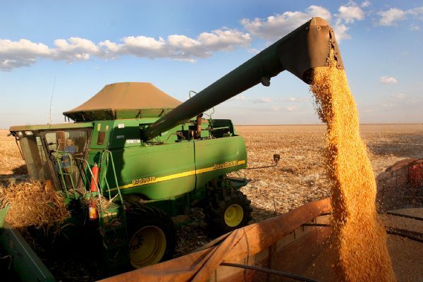 Aumento da oferta mundial de milho pode trazer queda nas cotaes internacionais