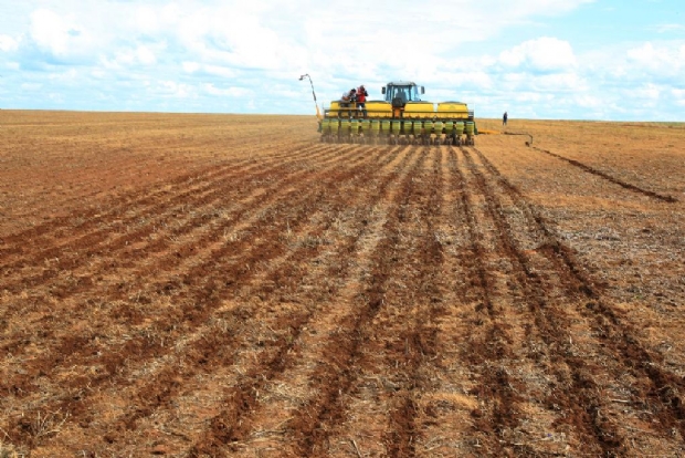 A uma semana do fim de prazo para  cadastro, rea de plantio de soja em MT ultrapassa 6 milhes de hectares
