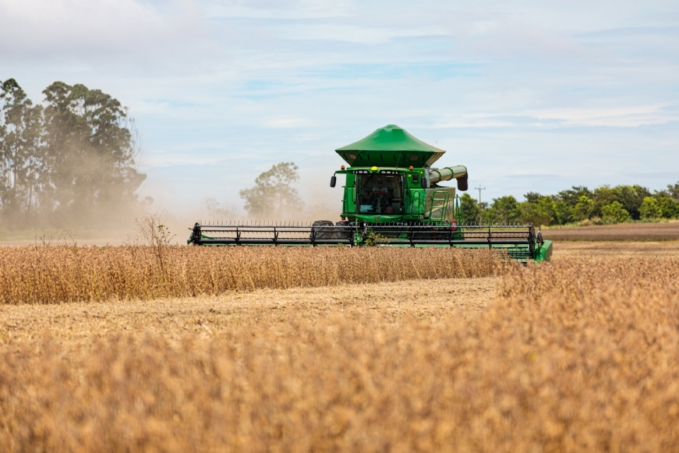 Mato Grosso deve exportar mais de 27 milhes de toneladas da soja, aponta Imea