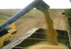USDA prev safra americana de soja ligeiramente maior e a do Brasil em 81 milhes de ton.