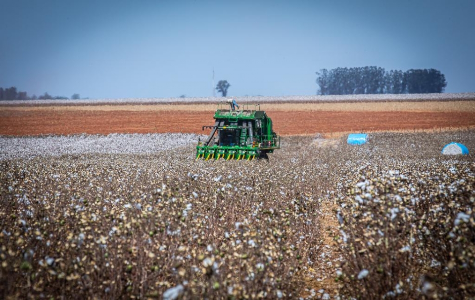Governo de MT prorroga diferimento do ICMS para fertilizantes e mant�m benef�cio at� dezembro de 2026
