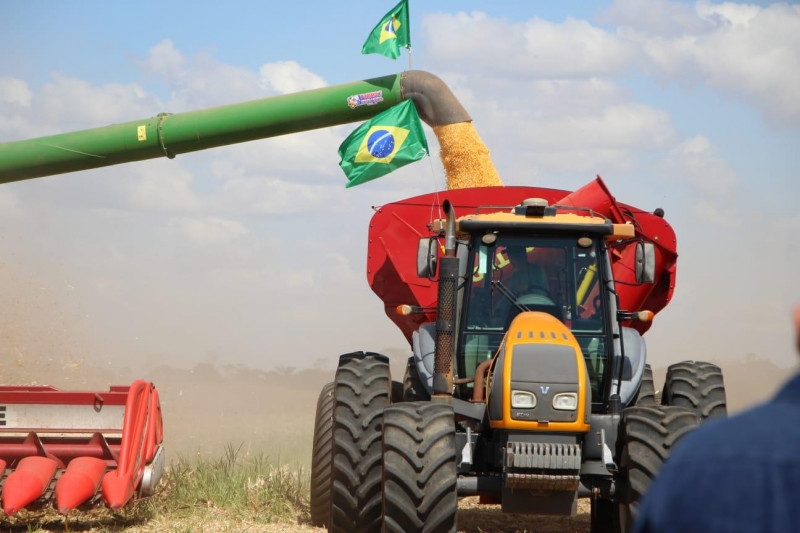 Mato Grosso contabiliza cerca de 51 milhões de toneladas de milho produzidos