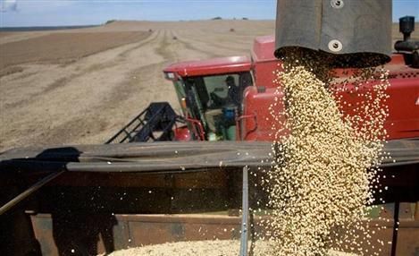 Produo de soja cresceu 7.7% em relao  ltima safra, aponta Conab