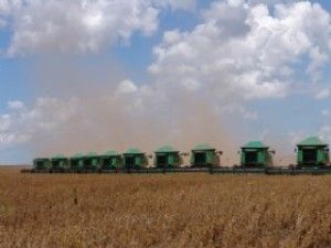Empresas do agro de Mato Grosso aumentam exportao em at 640% em 2012