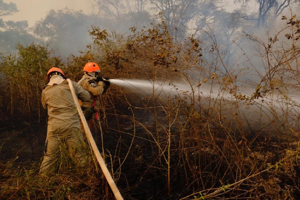 Período proibitivo do uso do fogo em Mato Grosso vai de 1º de julho a 30 de setembro