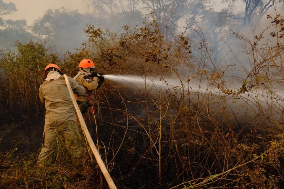 Perodo proibitivo do uso do fogo em Mato Grosso vai de 1 de julho a 30 de setembro