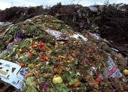 Dois milhes de toneladas de comida postas no lixo diariamente