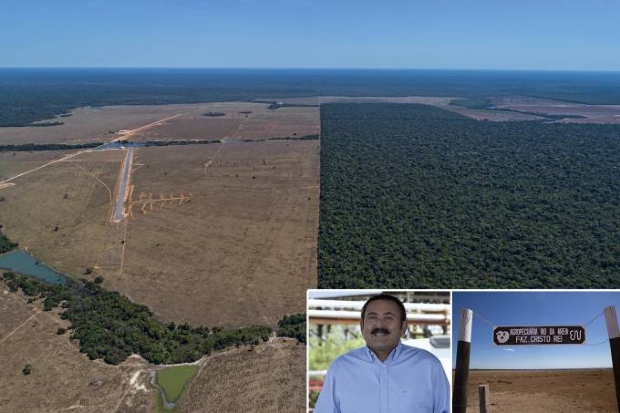 RECORDISTA - Imagem area da Fazenda Cristo Rei, de Edio Nogueira, em Mato Grosso: uma multa de 50 milhes de reais pelo estrago e outra, de 2 milhes de reais, por uso de agrotxico para acelerar a morte das rvores