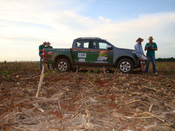 Produtores suspendem plantio por falta de chuva e em outras regies umidade favoreceu