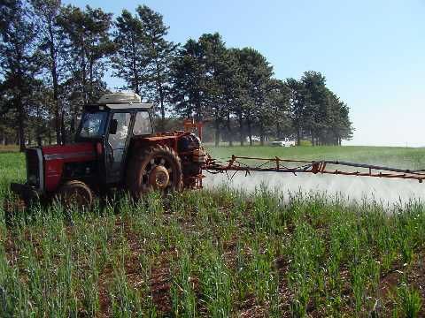 PF apreendeu 19,5 toneladas de produto contrabandeado entre janeiro e junho de 2013