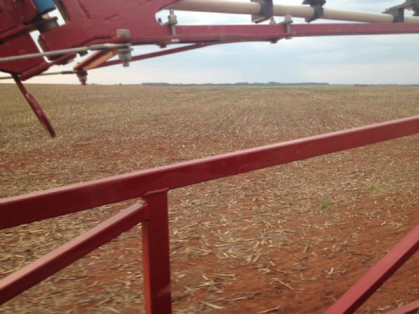 Produtor em Campo Verde ter de replantar 120 hectares de soja aps chuva de granizo