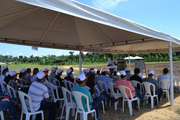 Fazenda Gravataí volta a sediar dia de campo para debater ILPF