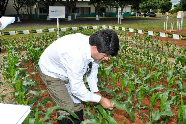 Dow AgroSciences levará POWERCORE e tecnologias para a soja ao ENTEC$ 2013