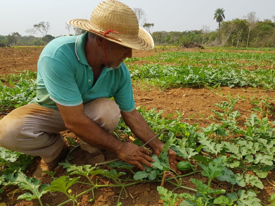 Em atividade h 59 anos, Empaer atende mais de 30 mil agricultores por ano em MT