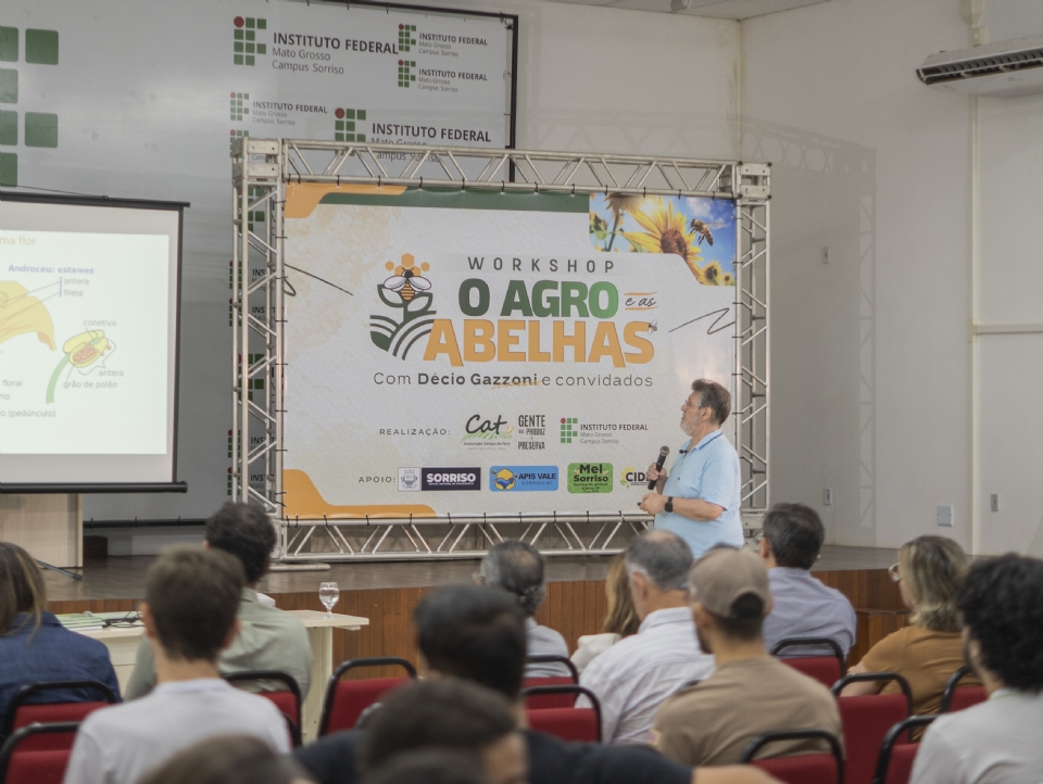 reas de soja podem transformar municpios de Mato Grosso em grandes produtores de mel