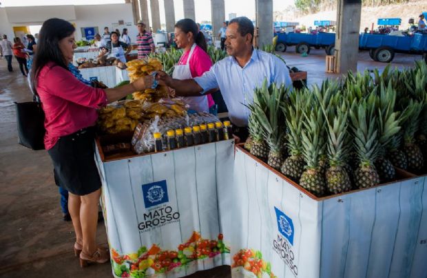 Estado comprar mais  de R$ 5 mi em alimentos de produtores familiares; 27 municpios participam