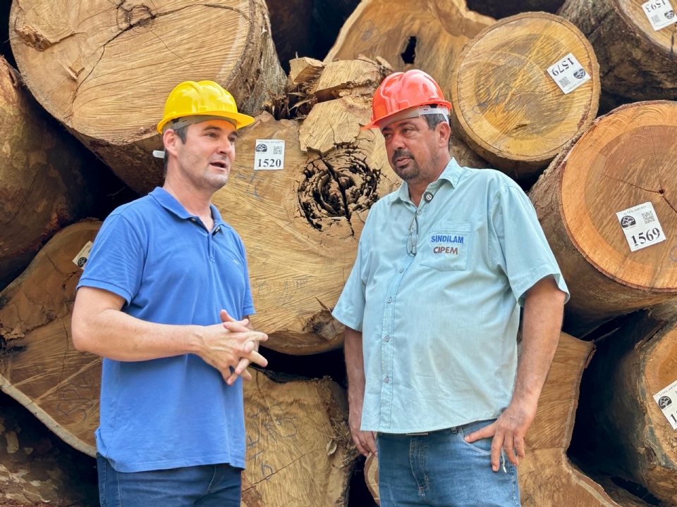Presidente do Cipem percorre indstrias de Aripuan e fortalece dilogo com setor florestal