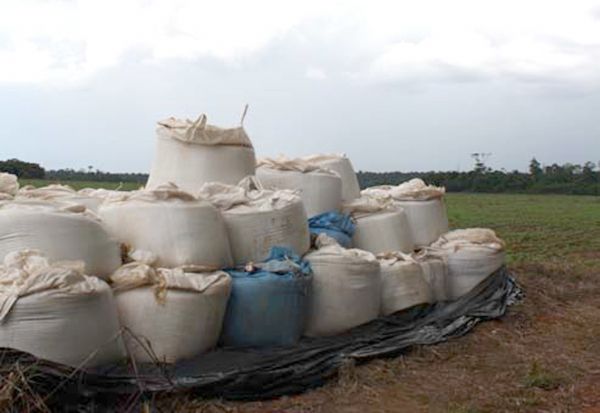 Brasil importa 75% dos fertilizantes usados na produção agrícola