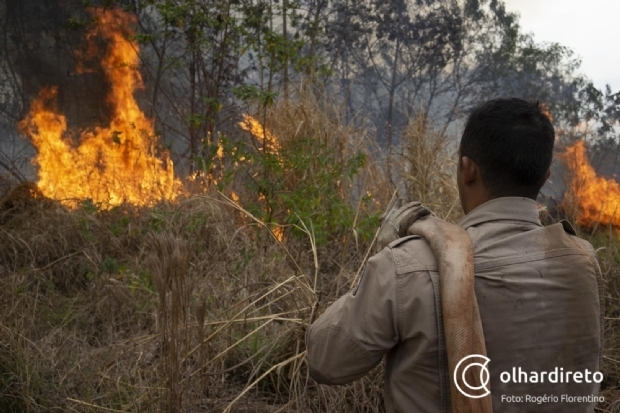 Queimadas aumentaram 530% no Pantanal mato-grossense em 2020