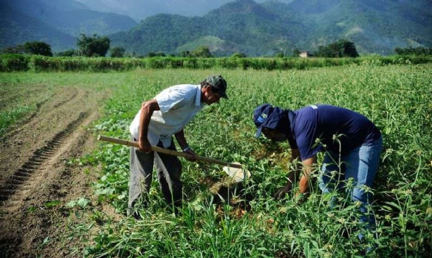 Agricultura Familiar