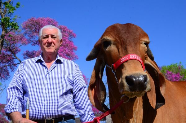 Mato Grosso pode se tornar maior bacia leiteira com ajuda de desenvolvimento gentico