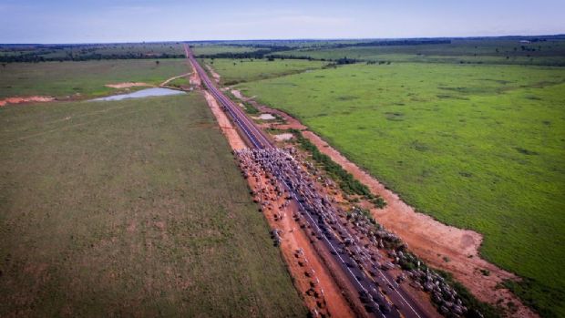 Pavimentao de rodovia no Xingu dever ser concluda em 2018; regio  uma das maiores produtoras de gado